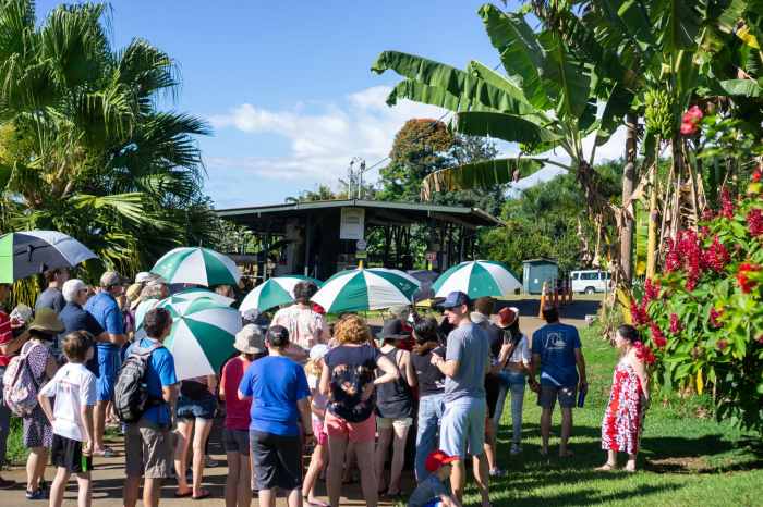 Best festival-based vacation destinations 2025