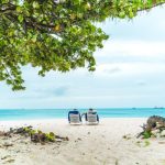 Hopping island guide ultimate