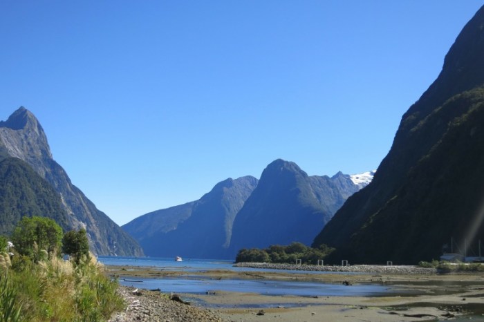 Wildlife watching in Australia