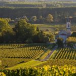 Wine tour tours chianti florence tasting day gimignano san half private district countryside valley newcastle highlights tourism tuscan transportation peculiarities